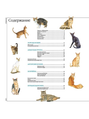 Кошки. Все породы