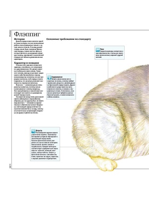 Кошки. Все породы