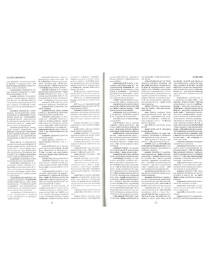 Универсальный англо-русский словарь современной лексики