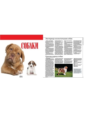 Собаки.Все породы