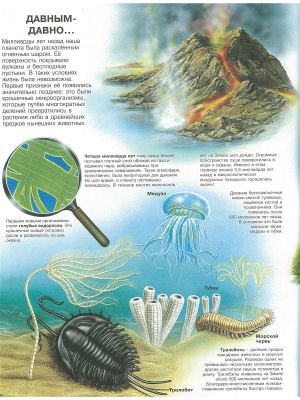 Атлас животных