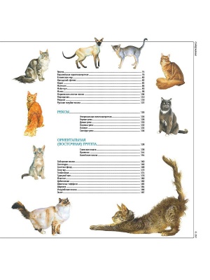 Кошки. Все породы