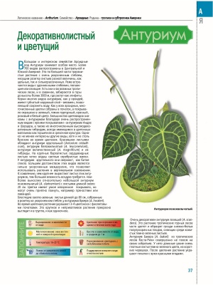 Самая полная энциклопедия комнатных растений